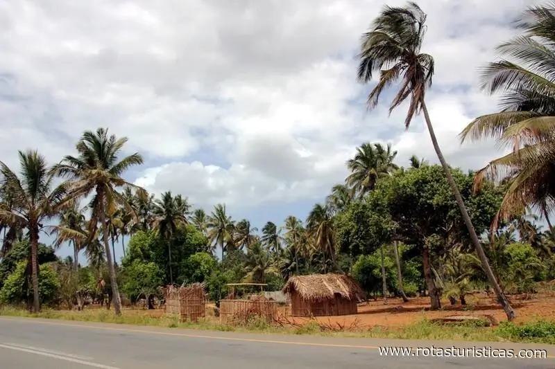 Em Morrumbene, na província moçambicana de Inhambane, uma avó enfrenta dificuldades econômicas para sustentar quatro netos e garantir suas necessidades básicas.